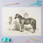 Horse Ephemera Decoupage Frans Stal Tissuepapier (Craft)