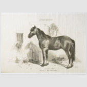 Horse Ephemera Decoupage  Frans Stal Tissuepapier (Voorkant)