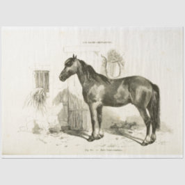 Horse Ephemera Decoupage Frans Stal Tissuepapier