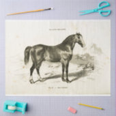 Horse Ephemera Decoupage Frans Tissuepapier (Craft)