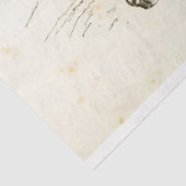 Horse Ephemera Decoupage Frans Tissuepapier (Detail)