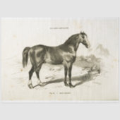 Horse Ephemera Decoupage  Frans Tissuepapier (Voorkant)