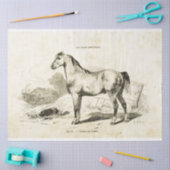 Horse Ephemera Decoupage  Frans Tissuepapier (Craft)