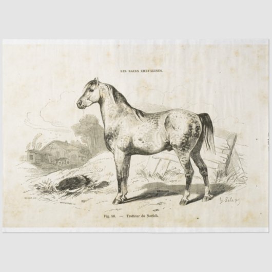 Horse Ephemera Decoupage  Frans Tissuepapier (Voorkant)