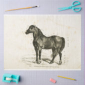 Horse Ephemera Decoupage Frans Tissuepapier (Craft)