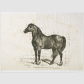 Horse Ephemera Decoupage Frans Tissuepapier (Voorkant)