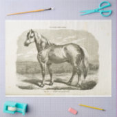Horse Ephemera Decoupage  Frans Tissuepapier (Craft)