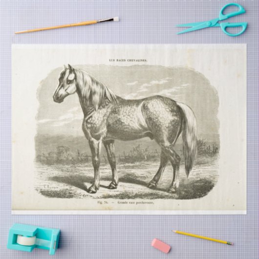 Horse Ephemera Decoupage  Frans Tissuepapier (Craft)