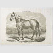 Horse Ephemera Decoupage  Frans Tissuepapier (Voorkant)