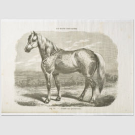 Horse Ephemera Decoupage  Frans Tissuepapier