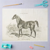 Horse Ephemera Decoupage Frans Weefsel Pap Tissuepapier (Craft)