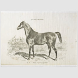 Horse Ephemera Decoupage Frans Weefsel Pap Tissuepapier