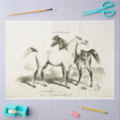 Horse Ephemera Decoupage  Frans Weefsel Pap Tissuepapier (Craft)