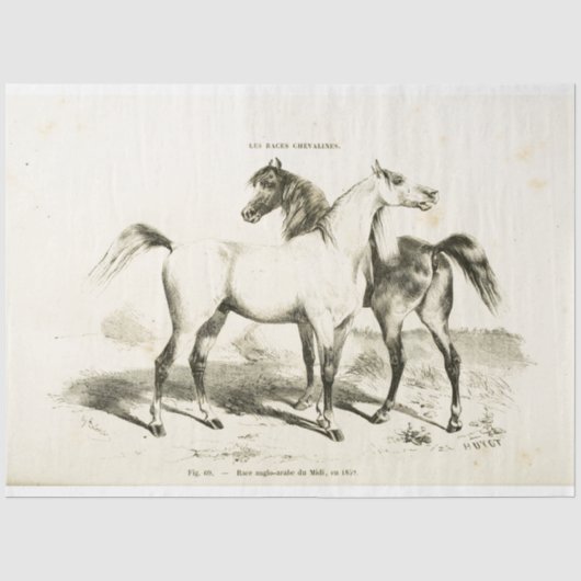Horse Ephemera Decoupage  Frans Weefsel Pap Tissuepapier (Voorkant)