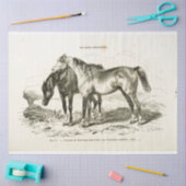 Horse Ephemera Decoupage  Frans Weefsel Pap Tissuepapier (Craft)