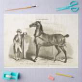 Horse Ephemera Decoupage  Franse soldaat Tissuepapier (Craft)