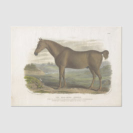 Horse Ephemera Decoupage Old Irish Hunter Tissuepapier