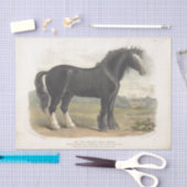 Horse Ephemera Decoupage Oud Engels Zwart Tissuepapier (Craft)