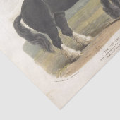 Horse Ephemera Decoupage Oud Engels Zwart Tissuepapier (Detail)