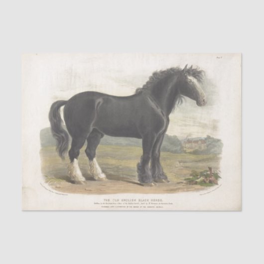 Horse Ephemera Decoupage Oud Engels Zwart Tissuepapier (Voorkant)