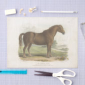 Horse Ephemera Decoupage Suffolk Tissuepapier (Craft)