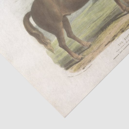 Horse Ephemera Decoupage Suffolk Tissuepapier (Detail)