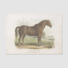 Horse Ephemera Decoupage Suffolk Tissuepapier