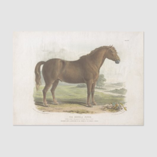 Horse Ephemera Decoupage Suffolk Tissuepapier (Voorkant)