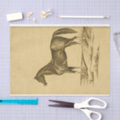 Horse Ephemera Decoupage Tissuepapier (Craft)