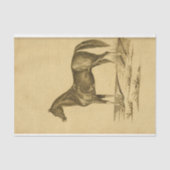  Horse Ephemera Decoupage Tissuepapier (Voorkant)