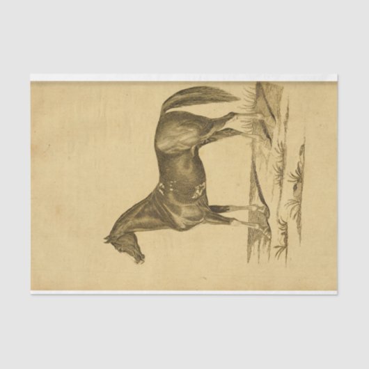 Horse Ephemera Decoupage Tissuepapier (Voorkant)