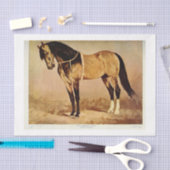 Horse Ephemera Decoupage Tissuepapier (Craft)