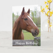 Horse Equestrian Hunter Birthday Kaart (Gele Bloem)