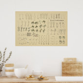 Horse Equine Conformation Chart Legs Gait Poster (Keuken)