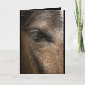 Horse Eye Blank Groetjes Kaart (Voorkant)