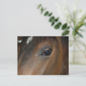 Horse Eye Briefkaart (Staand voorkant)