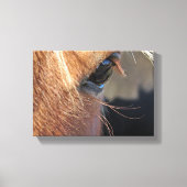 Horse Eye Canvas Afdruk (Voorkant)