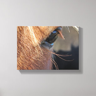 Horse Eye Canvas Afdruk