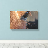 Horse Eye Canvas Afdruk (Insitu (Houten vloer))