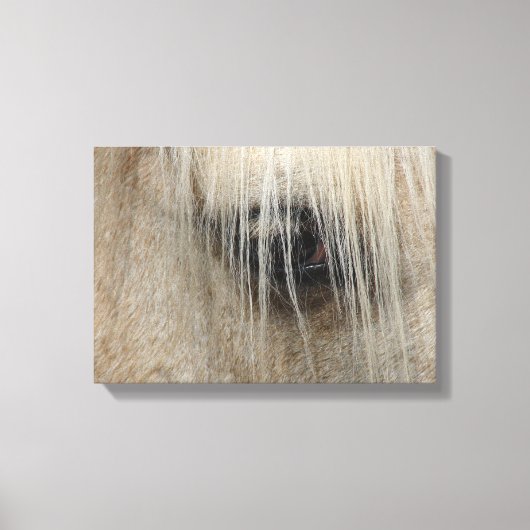 Horse Eye Canvas Afdruk (Voorkant)