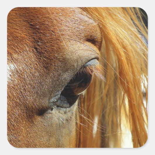 Horse Eye Closeup Vierkante Sticker (Voorkant)