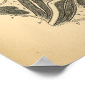 Horse Eye Ear Nose Anatomy 1908  Print (Hoek)