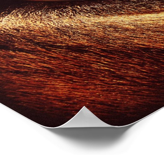 Horse Eye Poster (Hoek)