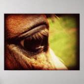 Horse Eye Poster (Voorkant)