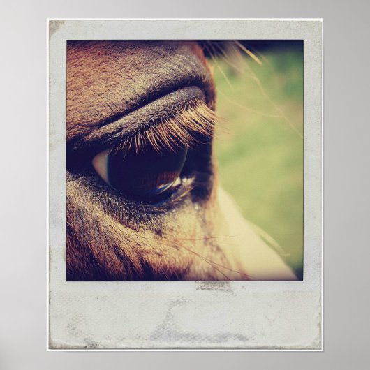 Horse Eye Poster (Voorkant)