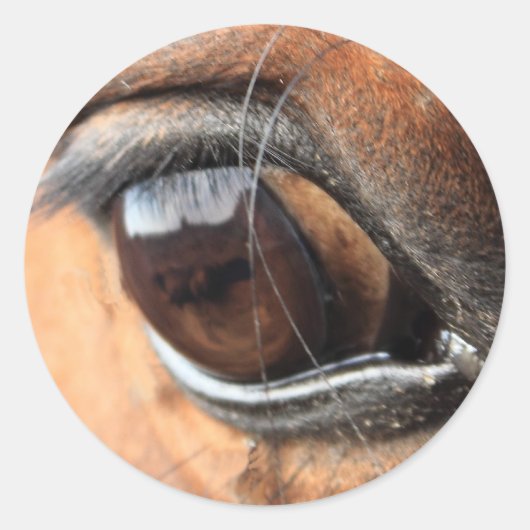 Horse Eye Ronde Sticker (Voorkant)