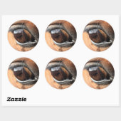 Horse Eye Ronde Sticker (Vel)
