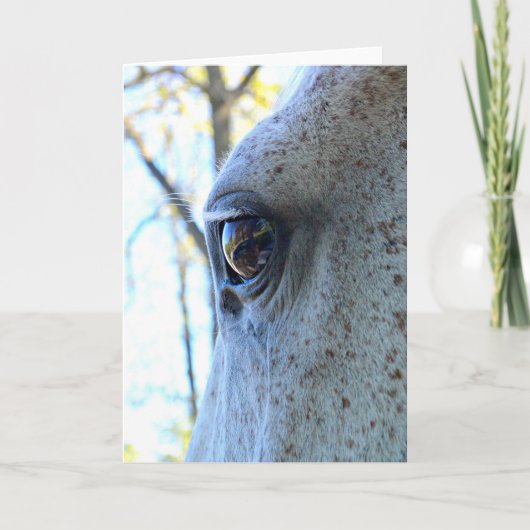 Horse Eye Wenskaart Kaart (Voorkant)