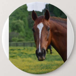 Horse Face-knop Ronde Button 6,0 Cm