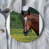 Horse Face-knop Ronde Button 6,0 Cm (In situ)